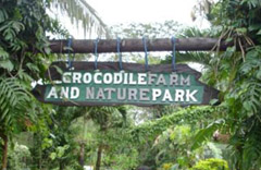 Crocodile Park in Davao, Philippines